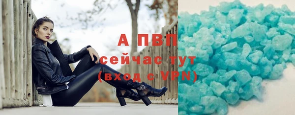 стаф Богородск