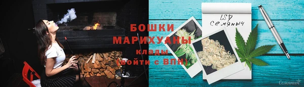 дживик Богородицк