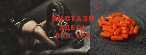 дживик Богородицк
