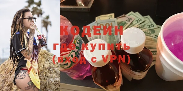 дживик Богородицк