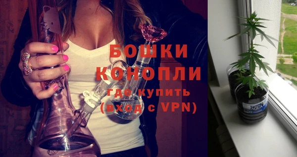 мяу мяу кристалл Богданович