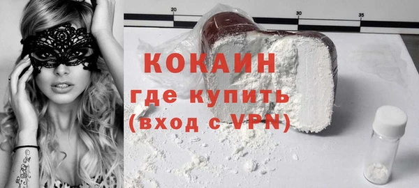 дживик Богородицк