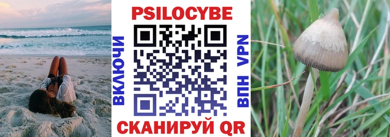 что такое наркотик  Няндома  это состав  Галлюциногенные грибы прущие грибы 